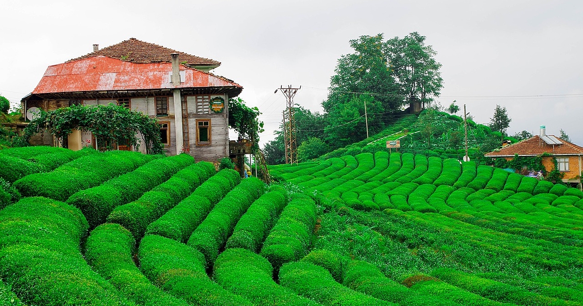 Rize – den skjulte fjellsiden av Türkiye – Sightseeing