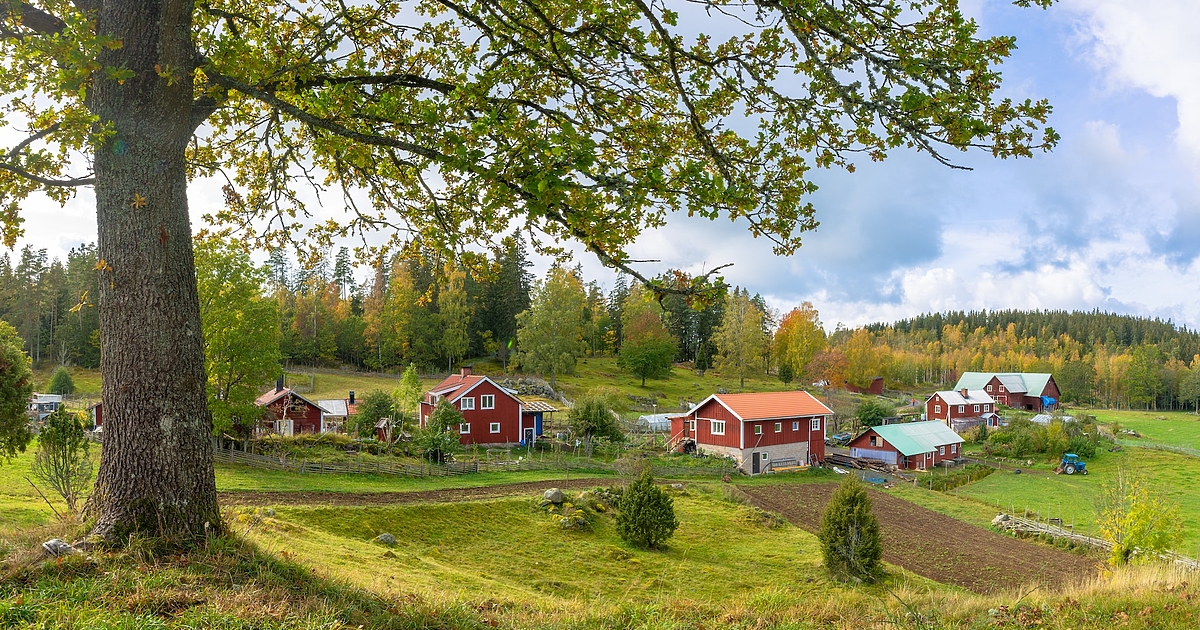 Land med best livskvalitet – Topp