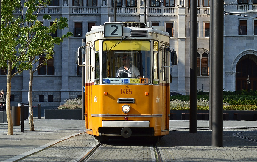 Унгарците и гражданите на ЕС над 65 г. пътуват безплатно с обществения транспорт на Будапеща. Това включва автобуси, тролейбуси, трамваи, метро и надземни крайградски влакове. 