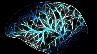 Проблеми с първия имплантиран в мозък чип на Neuralink 