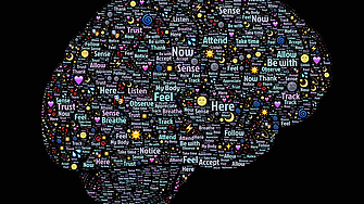 Google и Харвард създадоха най-подробната карта на човешки мозък