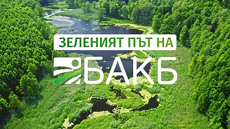 Зеленият път на БАКБ: Подкрепяме компаниите, които днес работят за по-зелено и устойчиво бъдеще