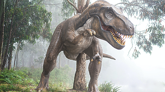 Преди 70 млн. години: Предците на T. rex преминали от Азия в Северна Америка през сухопътен мост