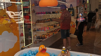 Историята на успеха на веригата магазини за гумени патета Duck World