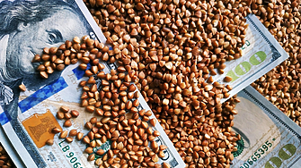 Реколтата от елда в Русия, основен хранителен продукт, ще достигне 6-годишно дъно