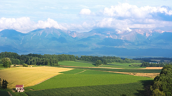 Япония превръща Острова на цветята в глобален чип център