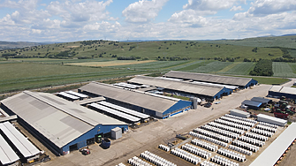 Румънска компания, която е най-големият производител на мляко в Европа, увеличава капацитета си