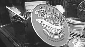 Българската ферма, която произвежда най-скъпия вид хайвер 