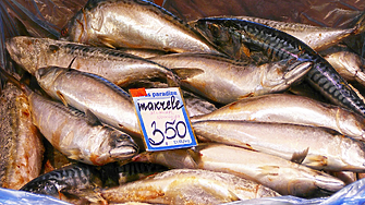 Цени на рибата в Бургас преди Никулден: Колко струват сафрид, паламуд и калкан?