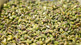 Заради манията по дубайския шоколад: Аржентина залага на шамфъстъка