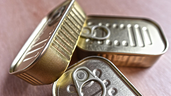 Фабрика за консерви от от африкански сом изграждат край Лом