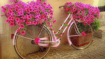 100 дни преди Giro d’Italia 2026: Градовете домакини у нас светват в розово