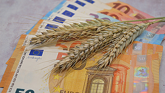 Колко струват хлебната и фуражната пшеница на борсата у нас? 