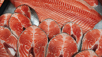 Износът на турска сьомга надхвърли $520 млн., Русия е №1 пазар