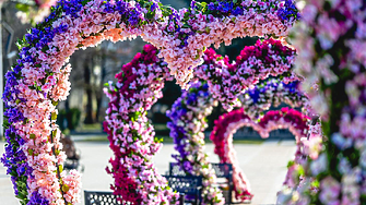 Враца с празнична украса по случай Деня на жената (снимки)