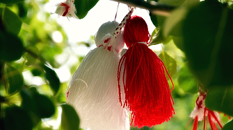 Видин се готви за нов световен рекорд на Гинес