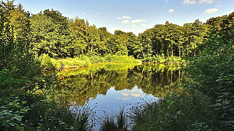 Нов парк от 200 дка със зала и автокино изграждат в Сливен