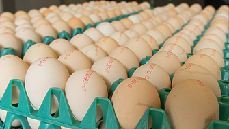 Какво означава кодът от цифри и букви върху яйцата?