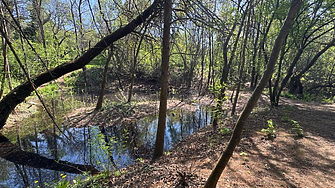 Проект за €255 000: Стартира възстановяването на езерата в Южния парк