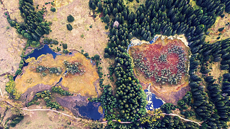 Създадоха първи наръчник за опазване на торфищата у нас