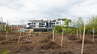 Нови залесителни акции в Пловдив: Засадиха чинари на Гребната база и ясени в парк Лаута