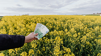 Монголия отчита ръст в износа на растителна продукция, 86% от него е за Китай