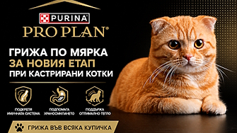 Грижа по мярка при кастрирани котки
