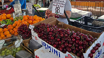 Турция очаква рекорден износ на череши, България - сред ключовите пазари
