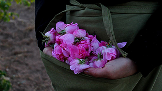 Rosey’s Mark: Как две сестри превърнаха българската роза в успешен бизнес и нова кулинарна тенденция?