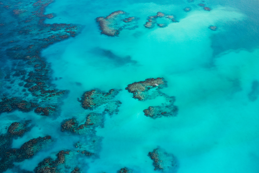 Големият бариерен риф е най-голямата екосистема на земята. Той е съставен от близо 2500 отделни рифа и е видим от космоса. 