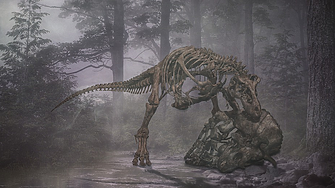 Продават на търг скелет на динозавър на 150 млн. години