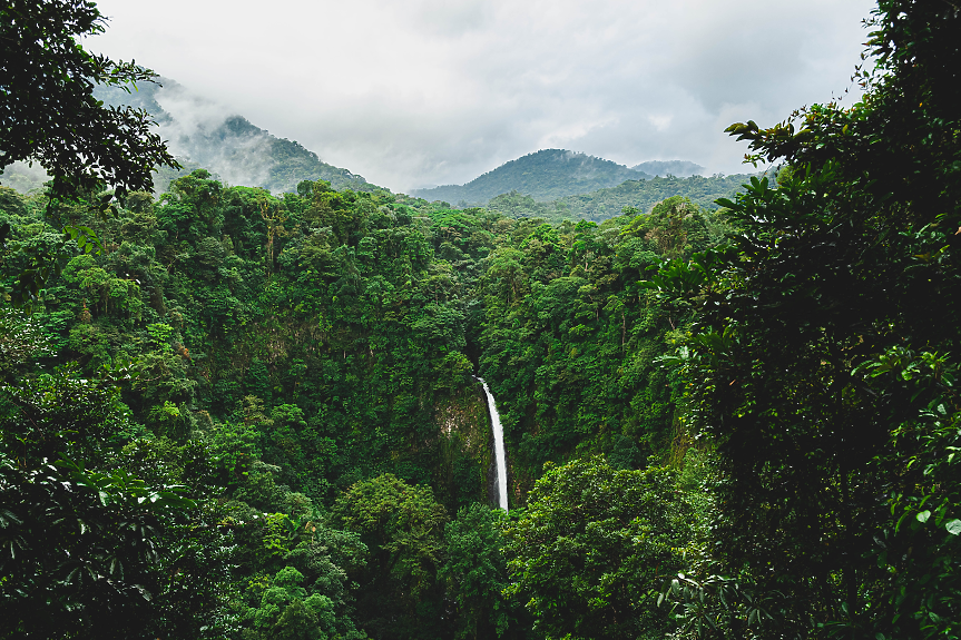 С 12 екологични зони и над 100 национални парка, резервата, убежища и защитени земи, Коста Рика е посветена на защитата и опазването на екоразнообразието.