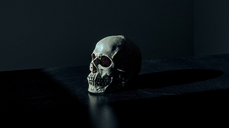 Защо онлайн търговията с човешки черепи и кости процъфтява във Великобритания