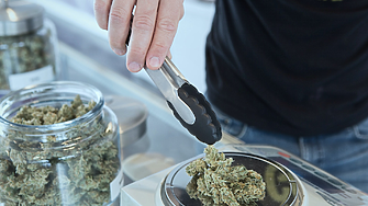 Още американски щати легализираха марихуаната