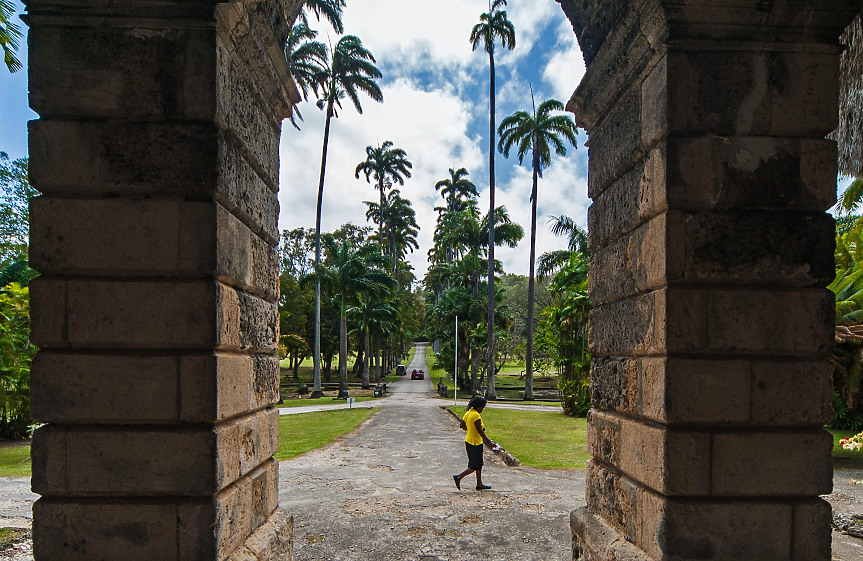 На Барбадос има повече от 40 крепости. Чудесен начин да се потопите в историята е да посетите тези исторически забележителности.