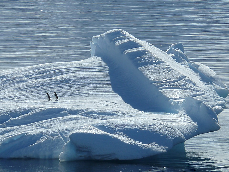 16.12.1911 г.: Руал Амундсен е първият човек, достигнал Южния полюс