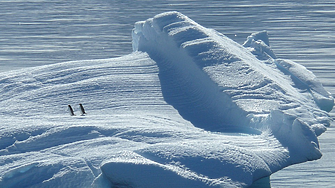16.12.1911 г.: Руал Амундсен е първият човек, достигнал Южния полюс
