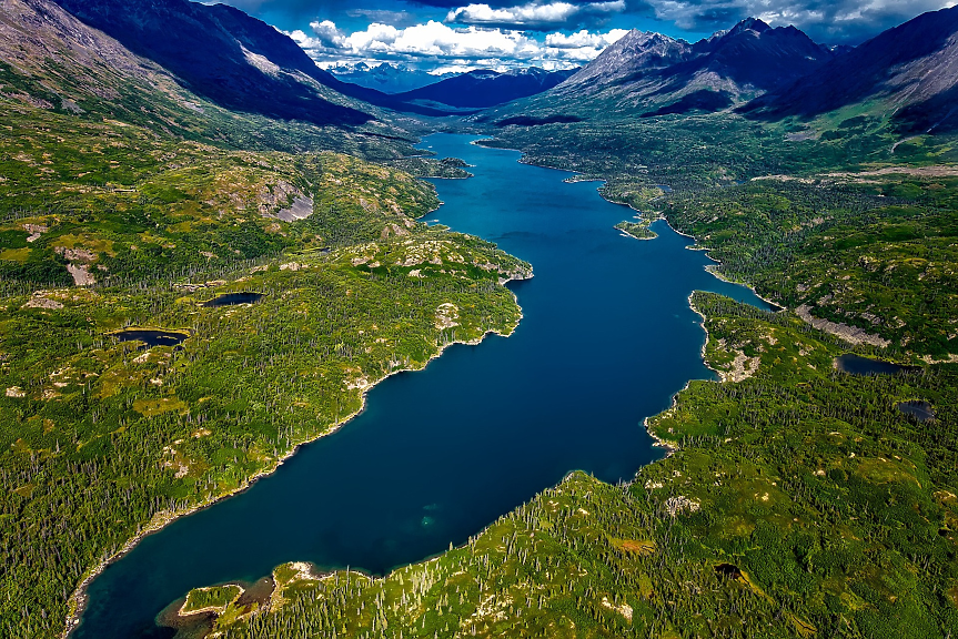 В Аляска има повече от 3000 реки и 3 милиона езера. 