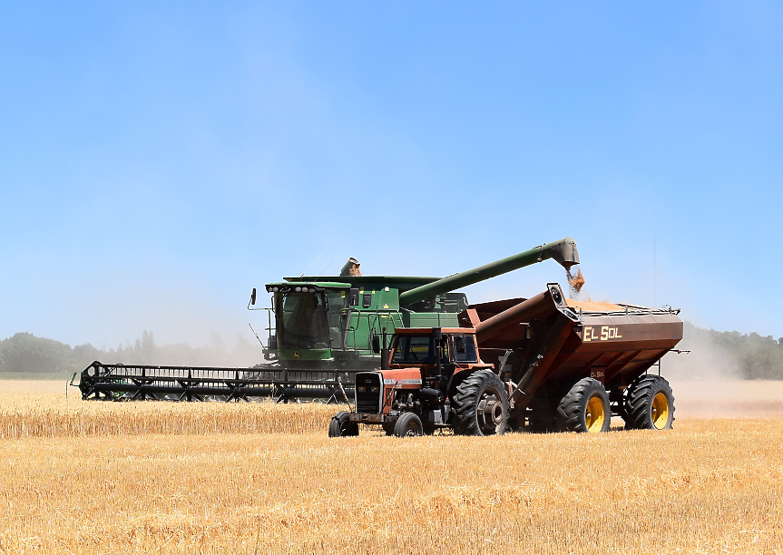 Задават ли се нови проблеми на пазара на зърно през 2023 г.?