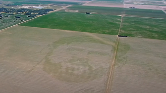 Аржентински фермер засади царевично поле с лика на Меси 