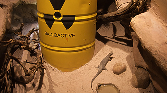 Откриха изчезналата в Австралия радиоактивна капсула