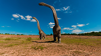 Запознайте се с динозавъра-рекордьор, чиято шия е по-дълга от училищен автобус