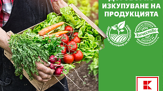 Kaufland изкупува български плодове и зеленчуци за над 38 млн. лв. през 2023 г.
