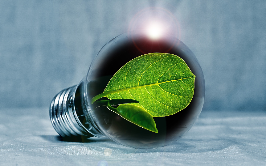  Амбиции срещу реализъм: Колко бързо енергийният сектор може да стане зелен?