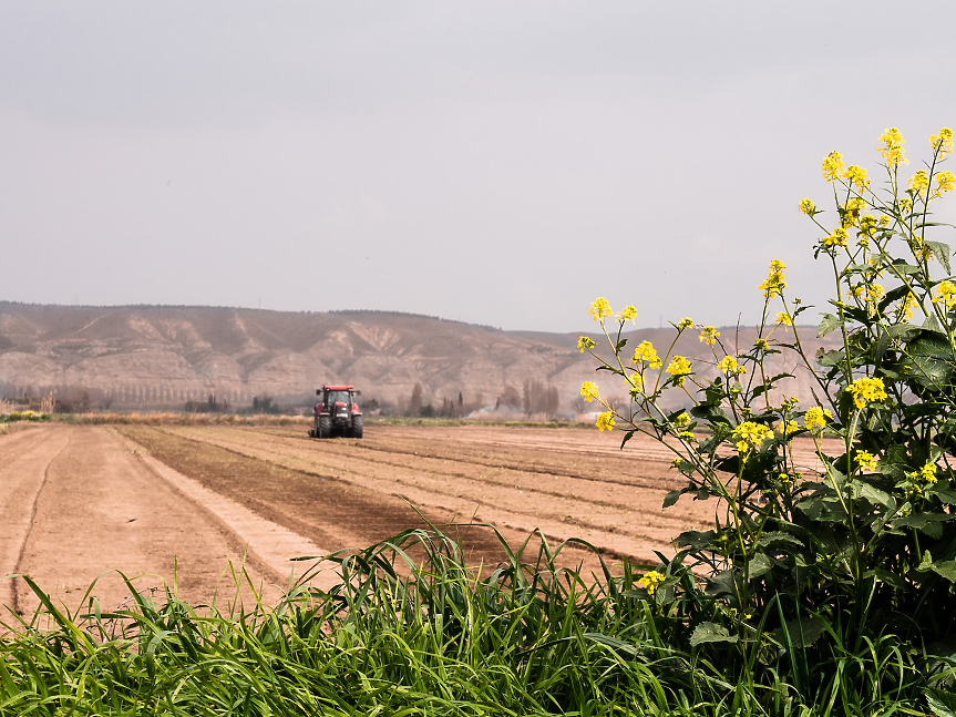 На колко възлизат рентите на земеделска земя в Европа?