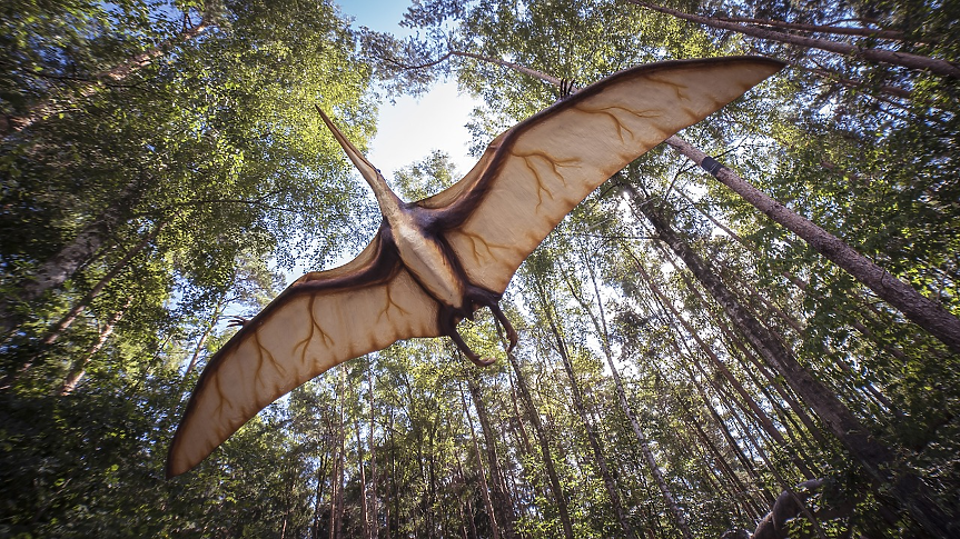 Най-старото летящо влечуго в света е живяло преди 107 млн. години