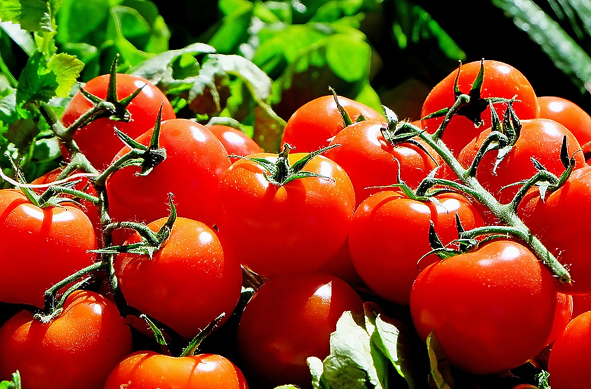 Четири онлайн мита за картофите, доматите и патладжаните