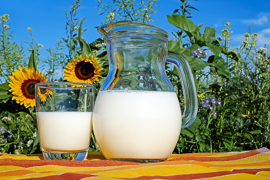 Наистина ли растителните млека са равностойна алтернатива на кравето?