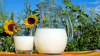 Наистина ли растителните млека са равностойна алтернатива на кравето?