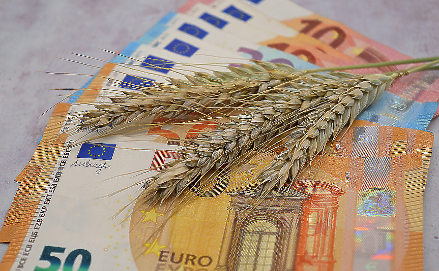 Оттеглянето на Русия от зърнената сделка повиши цената на пшеницата